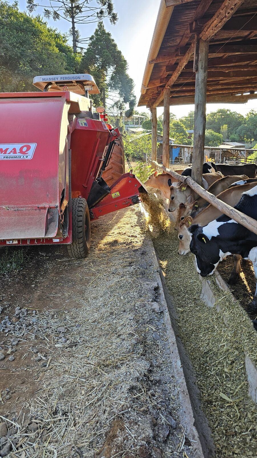 Carro alimentador descargando en el comedero